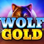 Main Slot Wolf Gold, Langsung Auto Sultan! Jackpot Besar Menanti